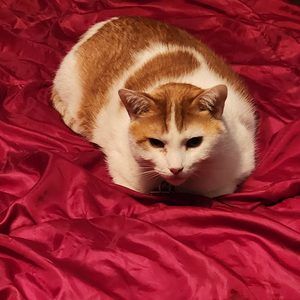 Meet your Posher, Suzy